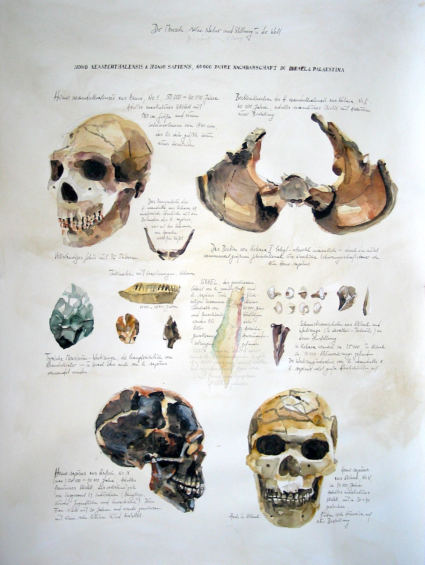 Israel - Neandertaler und Homo sapiens